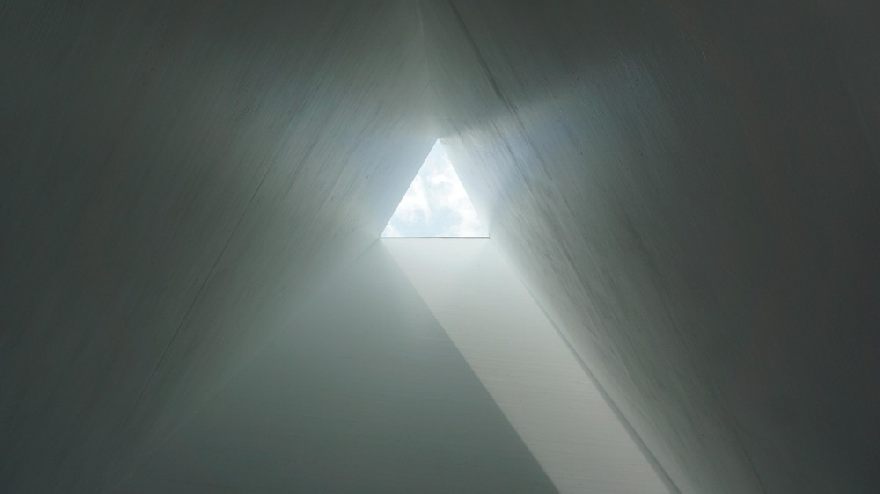 Sunshine in the Triangle